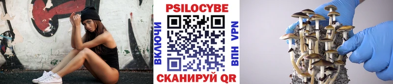 Псилоцибиновые грибы ЛСД  omg сайт  Котово 